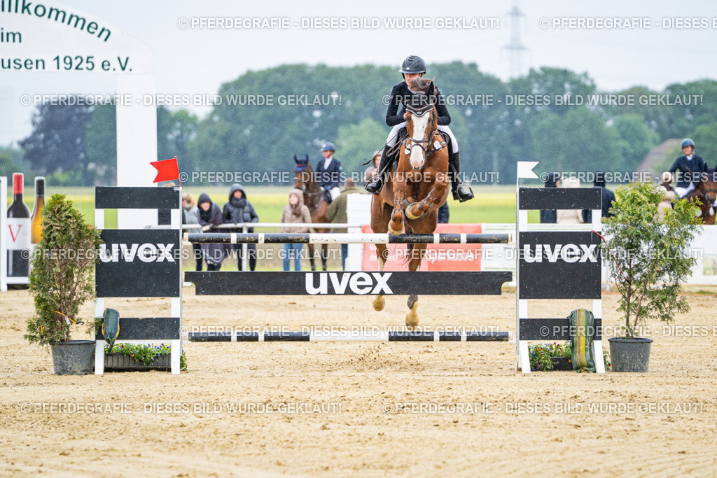 DSC07892 | Pferdegrafie