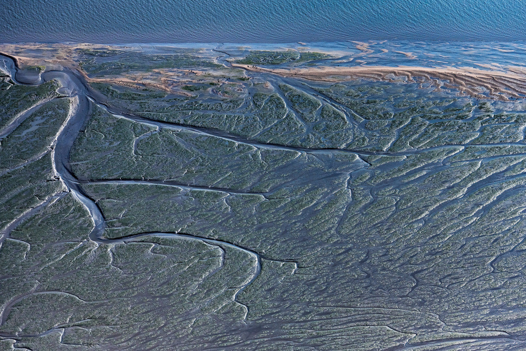 dr__0074561.jpg | JORK 01.09.2021 Uferbereiche mit Watt- Bereichen am Flußverlauf der Elbe in Jork Altes Land im Bundesland Niedersachsen, Deutschland. // Riparian areas with mudflats along the course of the river of the River Elbe in Jork Old Land in the state Lower Saxony, Germany. Foto: Daniel Reiter