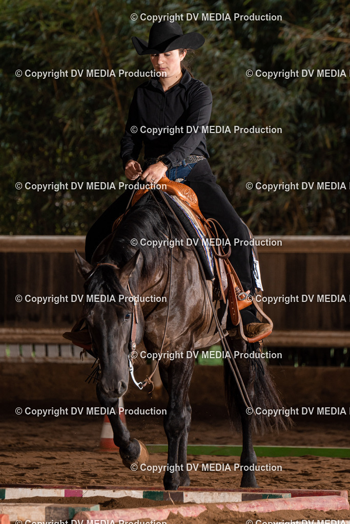 Erbach Tag 3-157 | dv-media-shop - Realisiert mit Pictrs.com