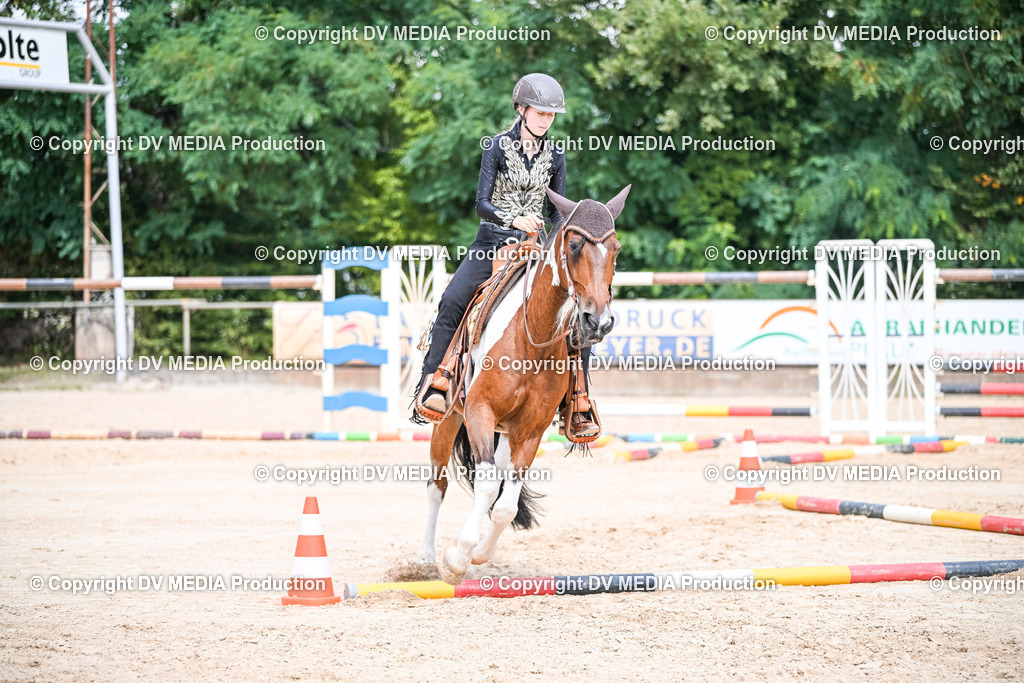 ZS2_3755 | dv-media-shop - Realisiert mit Pictrs.com