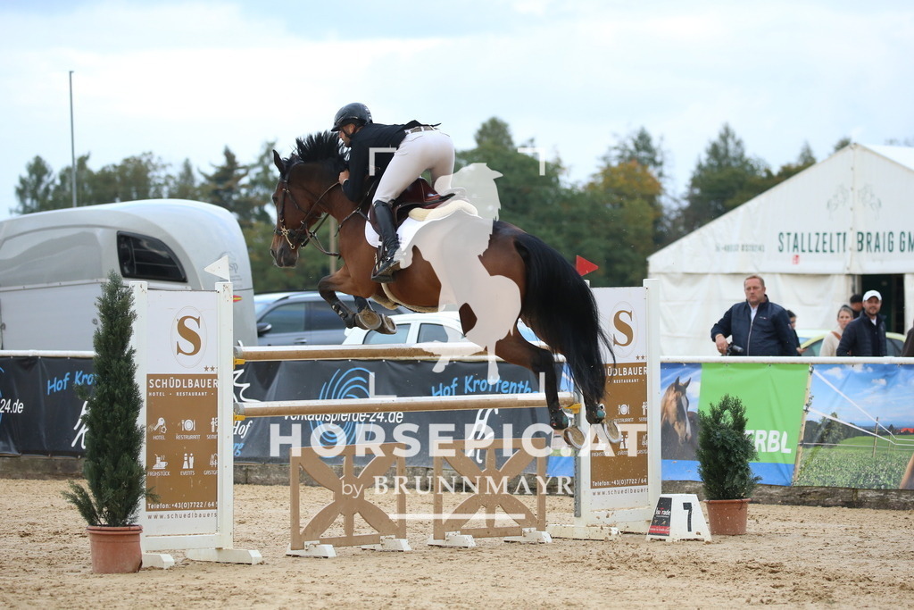 DL2Q5900 | Willkommen bei Brunnmayr - Design & Fotografie – Ihrem Spezialisten für Reitturniere und Pferdeveranstaltungen in Oberösterreich, Salzburg und Bayern! Seit über 17 Jahren sind wir leidenschaftlich dabei.