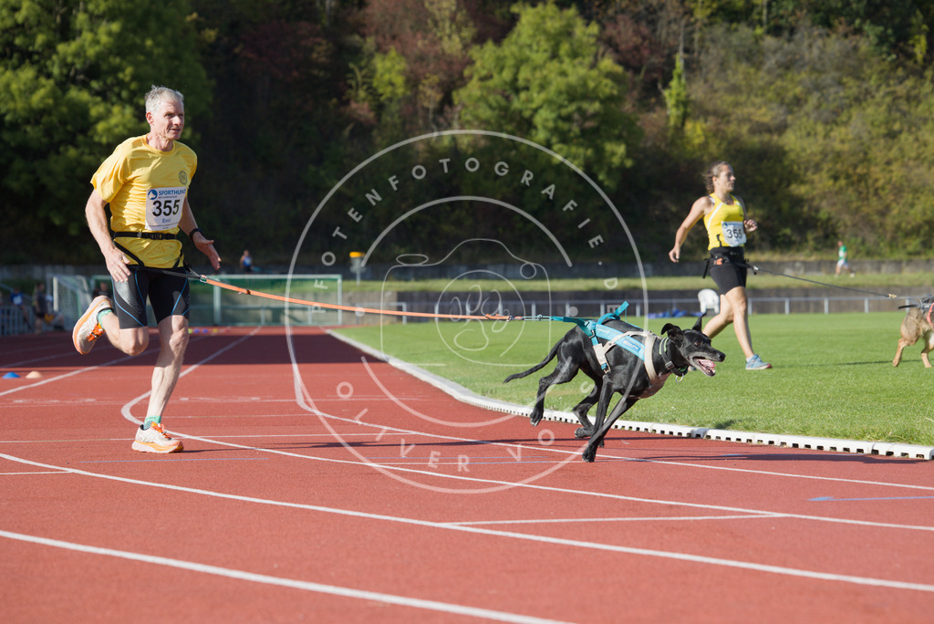 0L8A9991 | Hundefotografie, Tierfotograf, Pfotenfotografie, Fotoshooting Hund, Hunde Portrait, Hundesport, Hundeportraits, Heideshooting, Hunde, Sportfotograf, Hundefotograf, Turnierhundsport, THS,  - Realisiert mit Pictrs.com