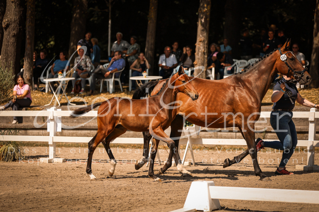 07.DoWBS00020 | Leoni Ertmer Photography - Realisiert mit Pictrs.com