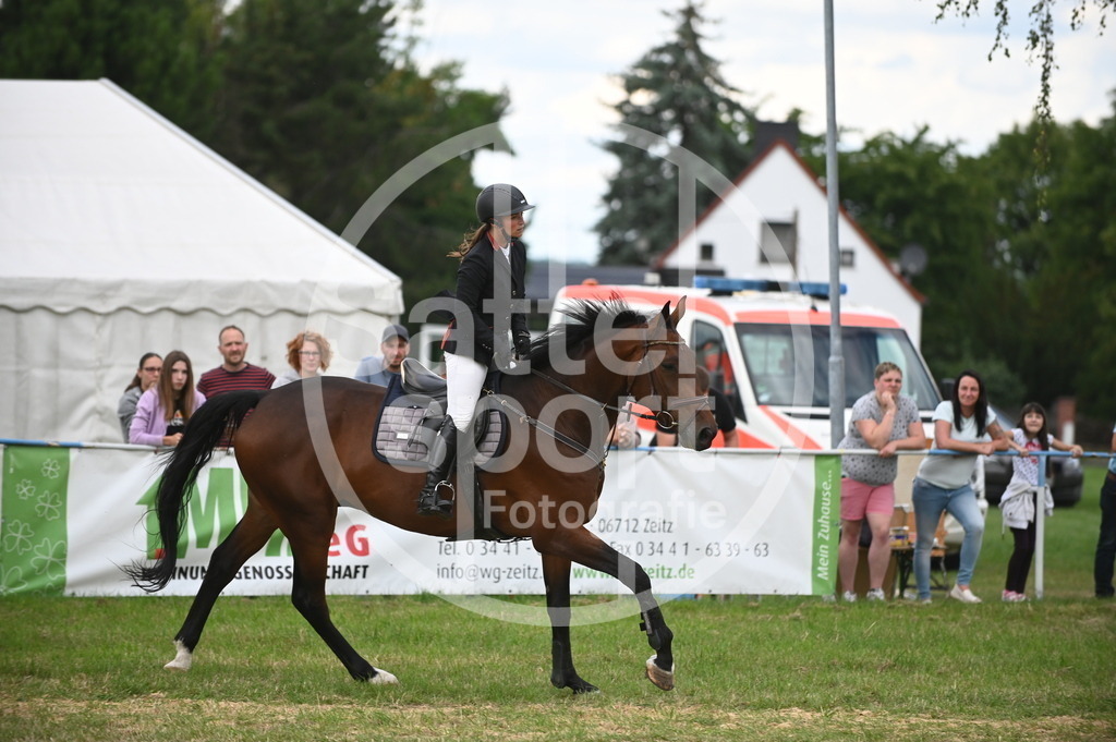 DSC_7984 | sattelsport - Realisiert mit Pictrs.com