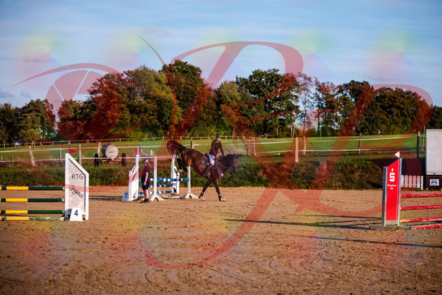 2026_10_03_Siefer-Hof_171044_Z81_07727911 | Professionelle Reitsport-, Turnier- und Eventfotografie von Robert Broda. Galerien mit ausgewählten und bearbeiteten Bildern direkt online ansehen und bestellen.