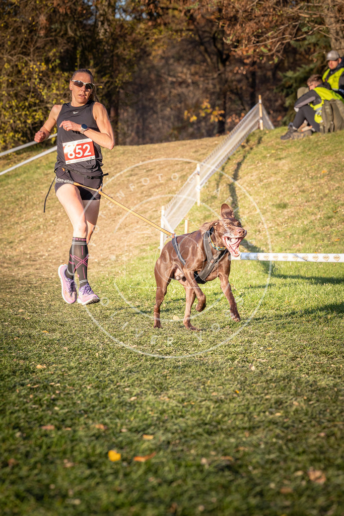 CaniXpix_0L8A0759 | Hundefotografie, Tierfotograf, Pfotenfotografie, Fotoshooting Hund, Hunde Portrait, Hundesport, Hundeportraits, Heideshooting, Hunde, Sportfotograf, Hundefotograf, Turnierhundsport, THS,  - Realisiert mit Pictrs.com