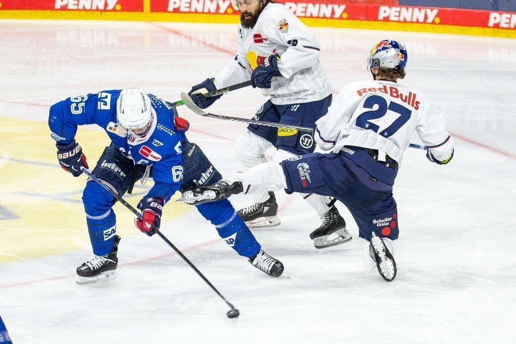 DEL, Deutsche Eishockey Liga Saison 2024/25, 22. Spieltag: Adler Mannheim gegen Red Bull München. Bild: Marc Michaelis (65, Mannheim) und Veit Oswald (27, München) | DEL, Deutsche Eishockey Liga Saison 2024/25, 22. Spieltag: Adler Mannheim gegen Red Bull München. Bild: Marc Michaelis (65, Mannheim) und Veit Oswald (27, München) - Realisiert mit Pictrs.com