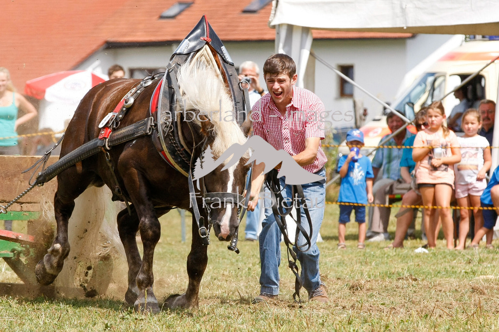 15082015-fb-6292 | Leistungsziehen in Poschetsried 2015