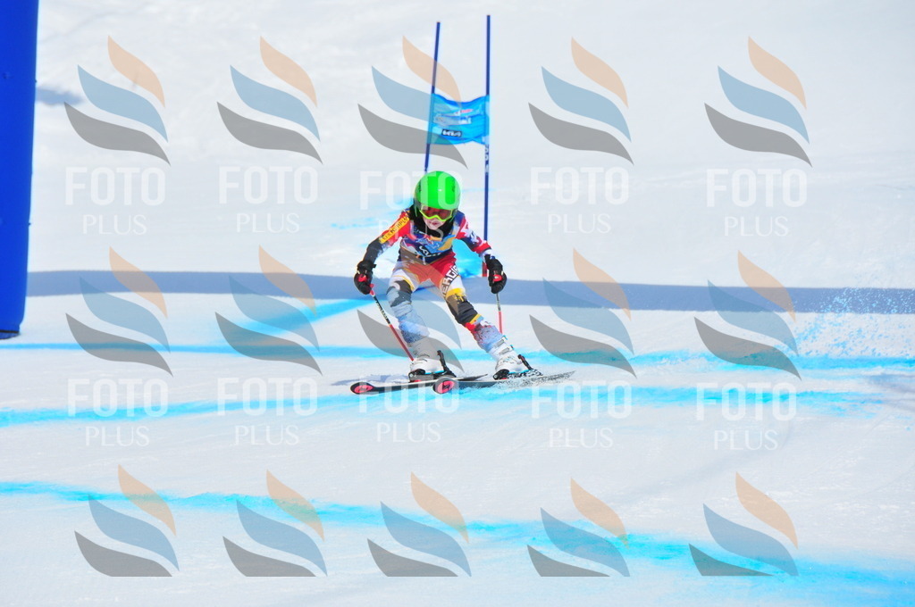 DSC_1426 | holidayphoto