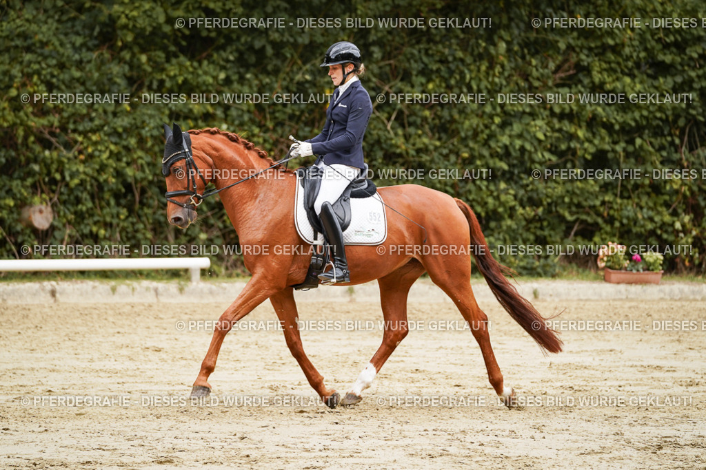 DSC09847 | Pferdegrafie