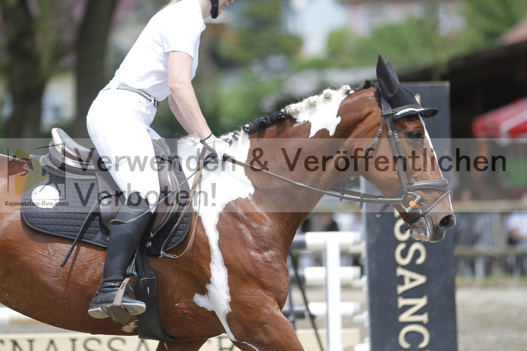 _MG_5321 | equestrian-live-com