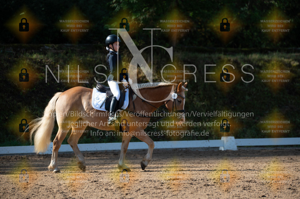 DSC_8314 | Nils Cress - Fotografie - Realisiert mit Pictrs.com