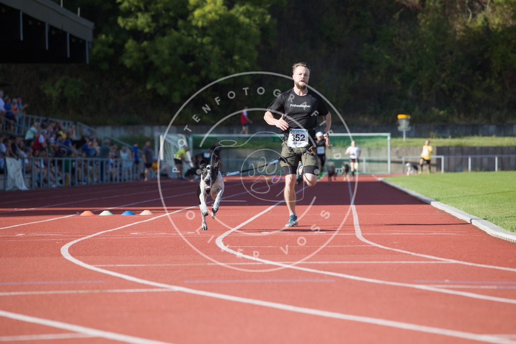 0L8A0102 | Hundefotografie, Tierfotograf, Pfotenfotografie, Fotoshooting Hund, Hunde Portrait, Hundesport, Hundeportraits, Heideshooting, Hunde, Sportfotograf, Hundefotograf, Turnierhundsport, THS,  - Realisiert mit Pictrs.com