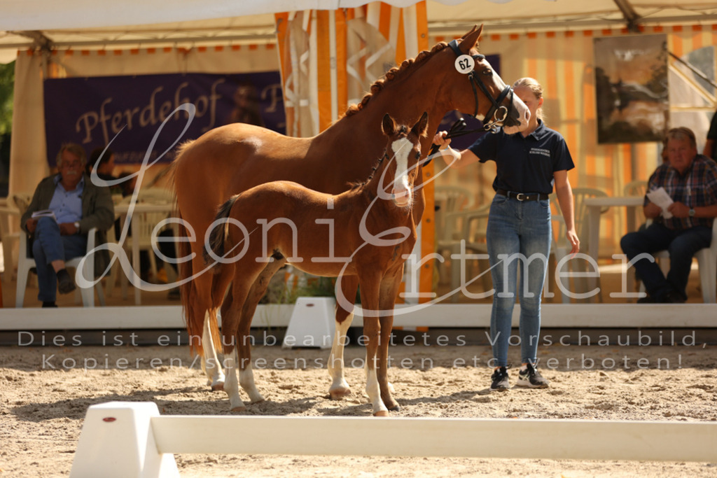 08.DoRPS00064 | Leoni Ertmer Photography - Realisiert mit Pictrs.com