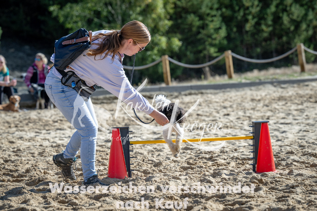 1327_ZZ90144 | kk-dogfotos