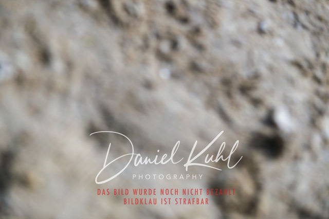 IMG_2988 | Turniersportfotografie; Pferdefotografie; Dressurfotografie