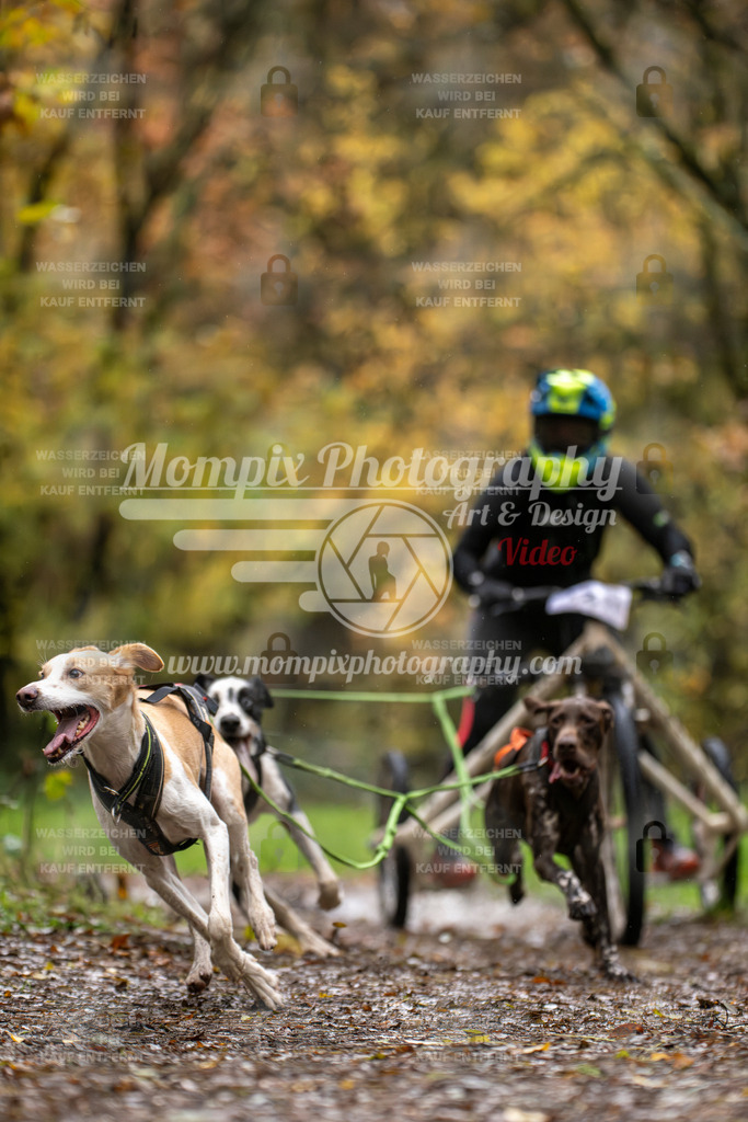 MompixPhotography_Bischwiller23_Kart-4 | PayLife