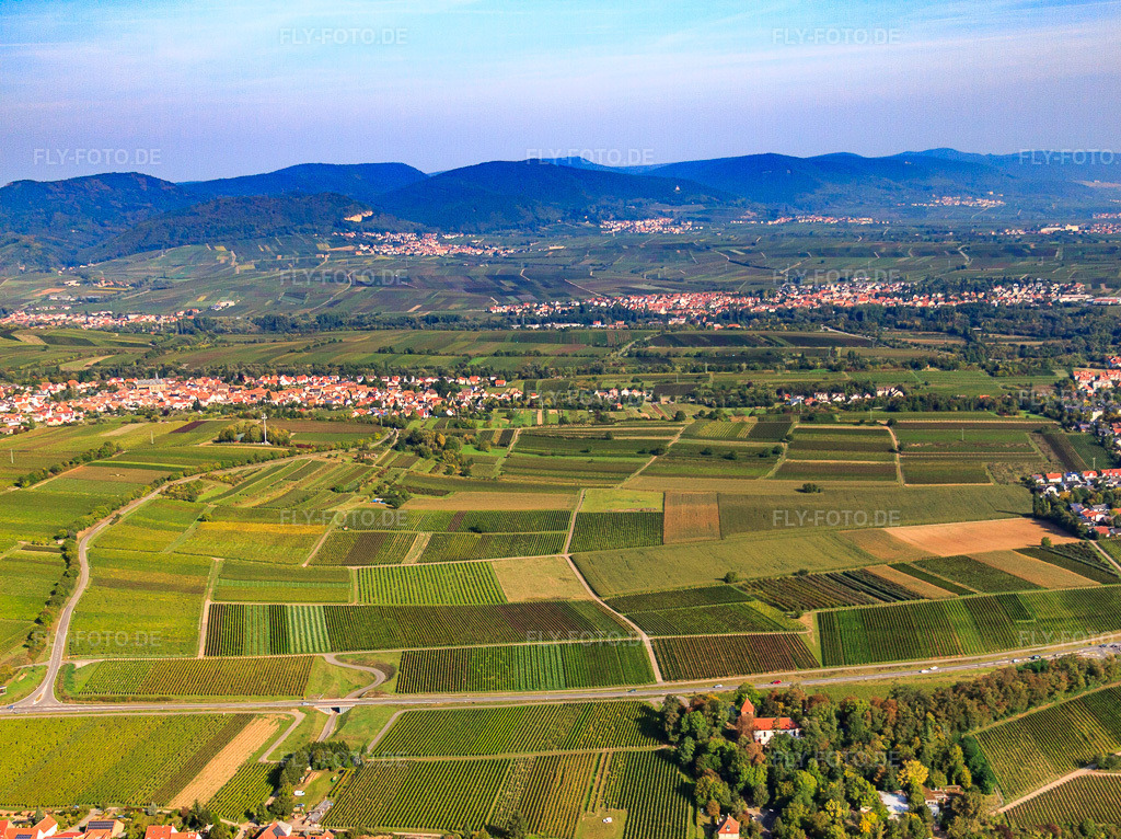 Luftbild: Ausblick zwische Wollmesheim und Arzheim im Ortsteil Arzheim in Landau im Bundesland Rheinland-Pfalz in Deutschland. Foto: IMG_45455.jpg vom 24.09.2011 durch Werner Riehm/FLY-FOTO.deAuflösung des Originals: 4236 x 3168 px