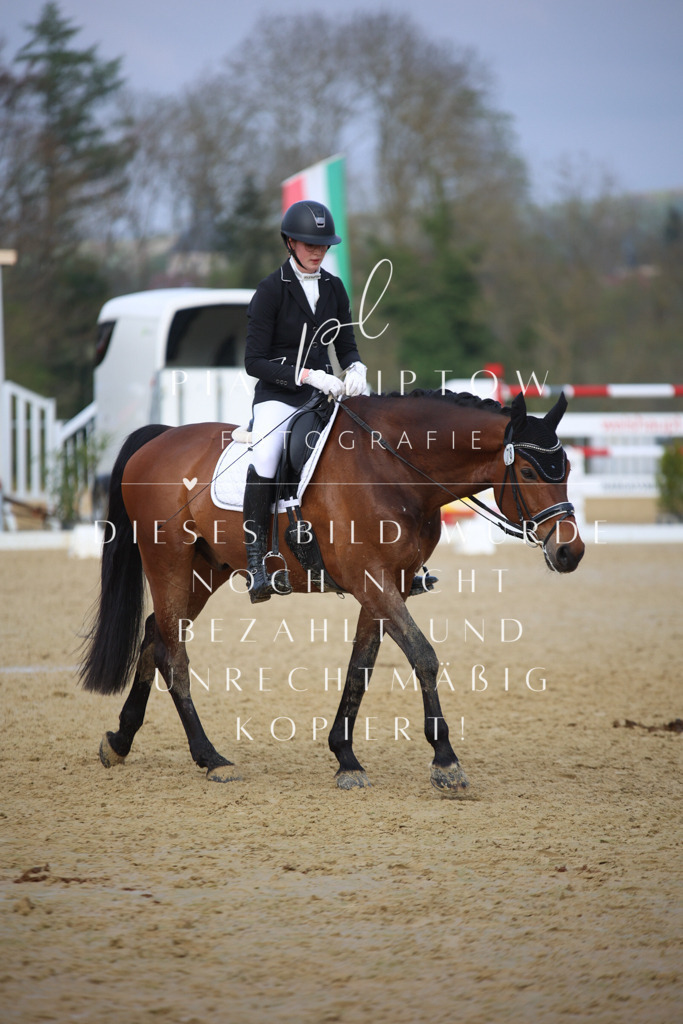 IMGT8265 | pl-fotografie