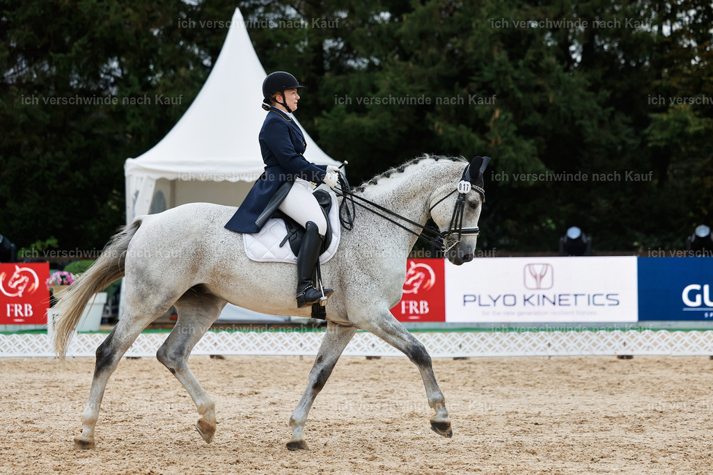 8_2-017-DRESSUR S_  -StoibPH-4535 | working equitationturnier fotograf videograf stoibphotography marixx film working equitation deutschland reitsport turnierfotografie eventfotografie equestrian events