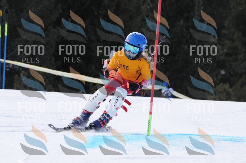 C7322 | holidayphoto