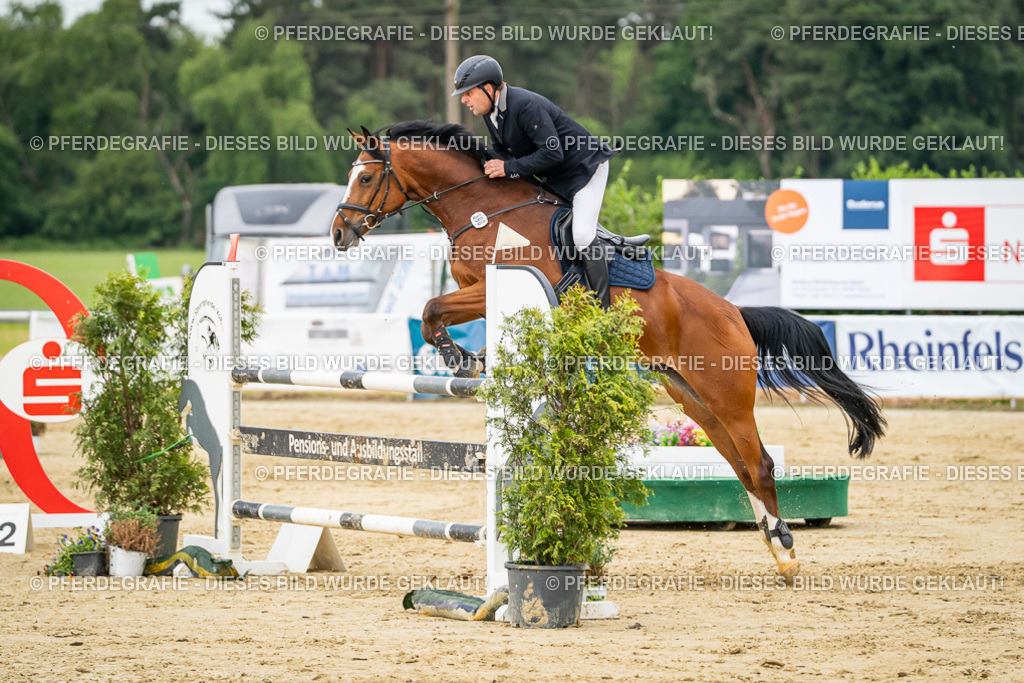 DSC06788 | Pferdegrafie