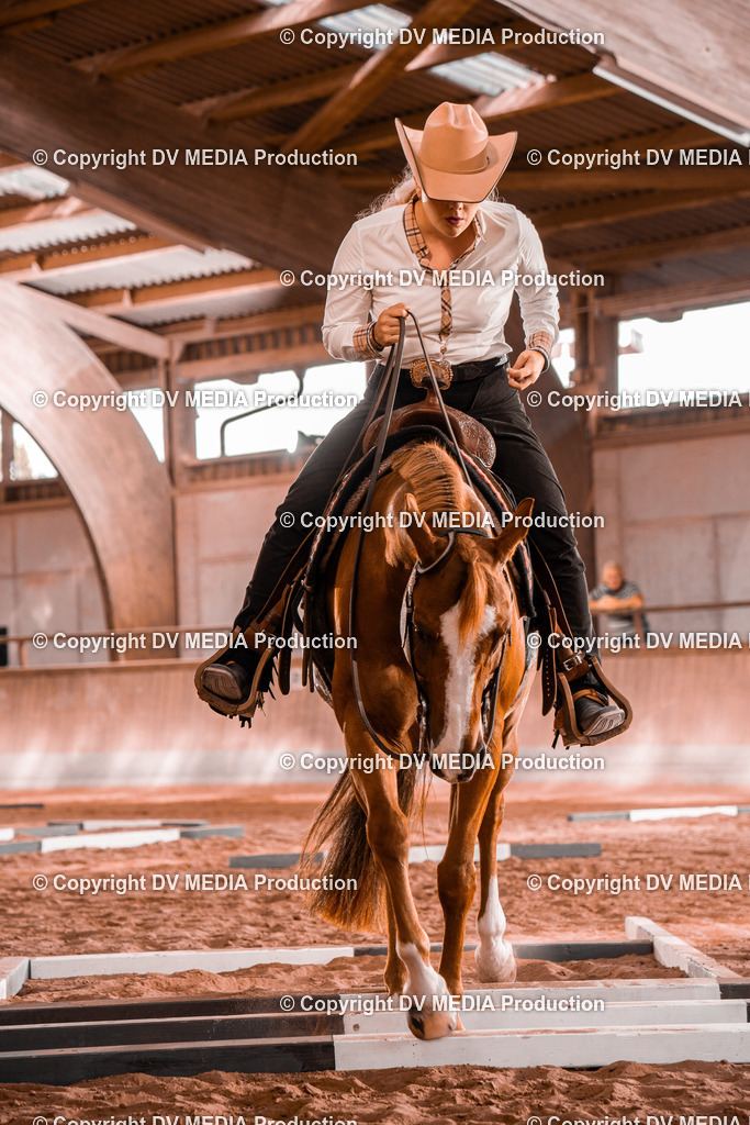 NE300158 | dv-media-shop - Realisiert mit Pictrs.com