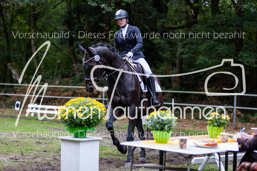 HB-A-Dressur-136 | MomenTaufnahmen Pferdesportfotos