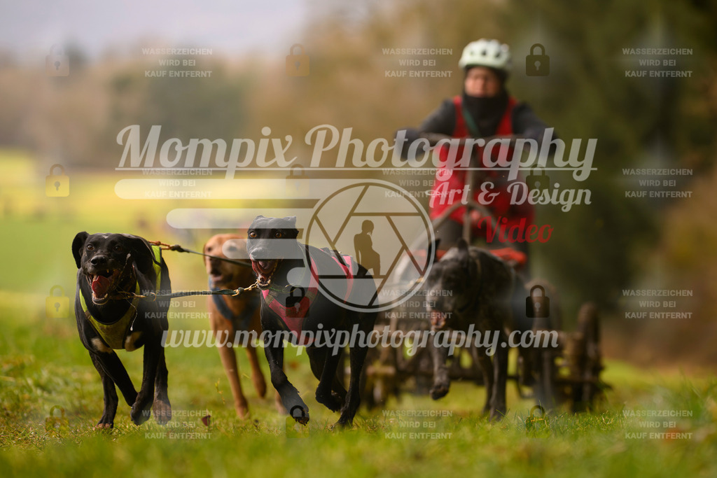 MompixPhotography_2SSTSSBW_2025_SO_Kart-9 | PayLife