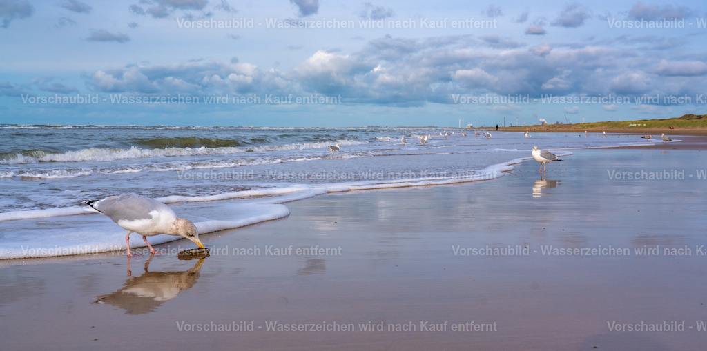 DSC01550-Enhanced-NR-2 | marcuslinek