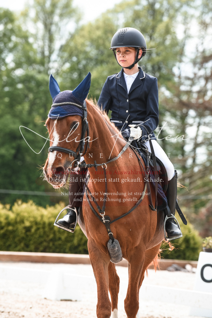 20230518_JK-Röhrsdorf-10-052 | Pferde- und Turnierfotografie in Westsachsen. Pferdeportraits, Auftragszeichnungen und intuitive Kunst.
