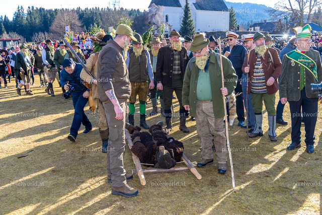 Bärentreiben in Steuerberg | Bildershop von pixelworld.at - Realisiert mit Pictrs.com