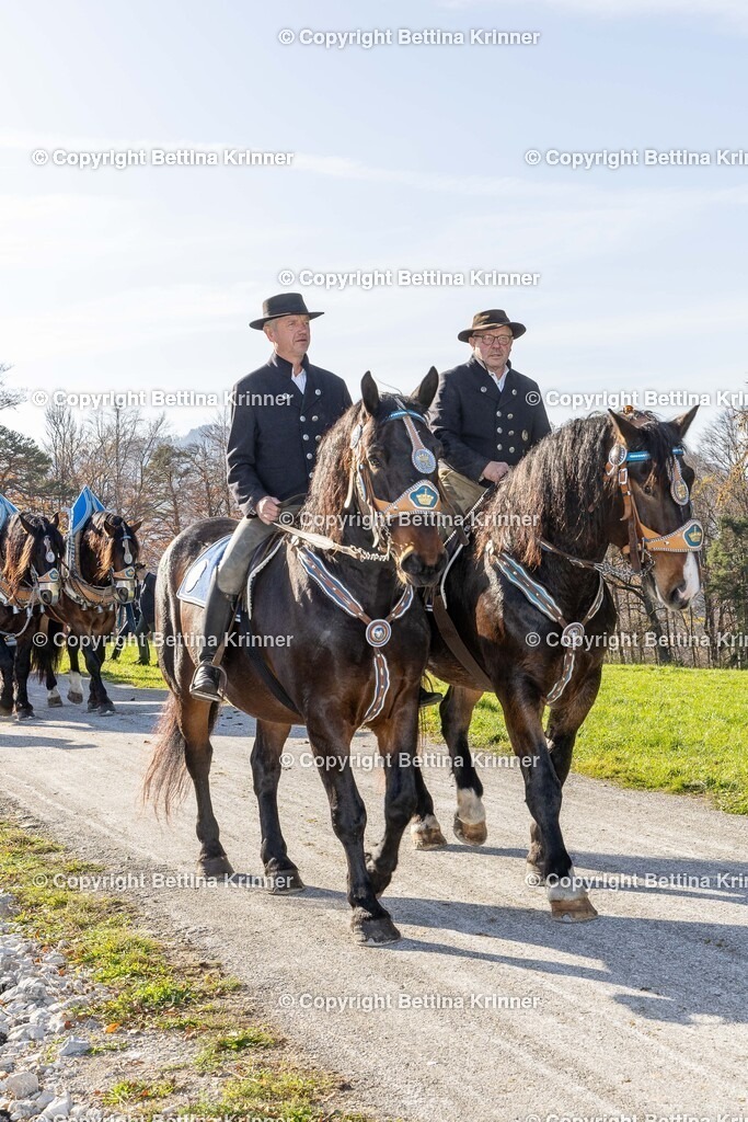LBT24-1543 | foto-bettina-krinner - Realisiert mit Pictrs.com