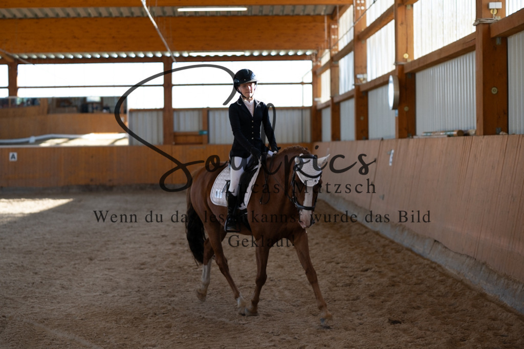 A7V01702 | Pferdefotograf