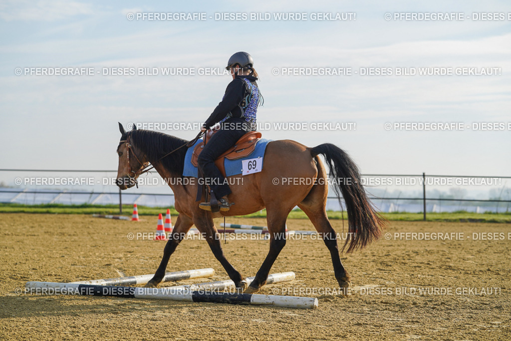 DSC00632 | Pferdegrafie