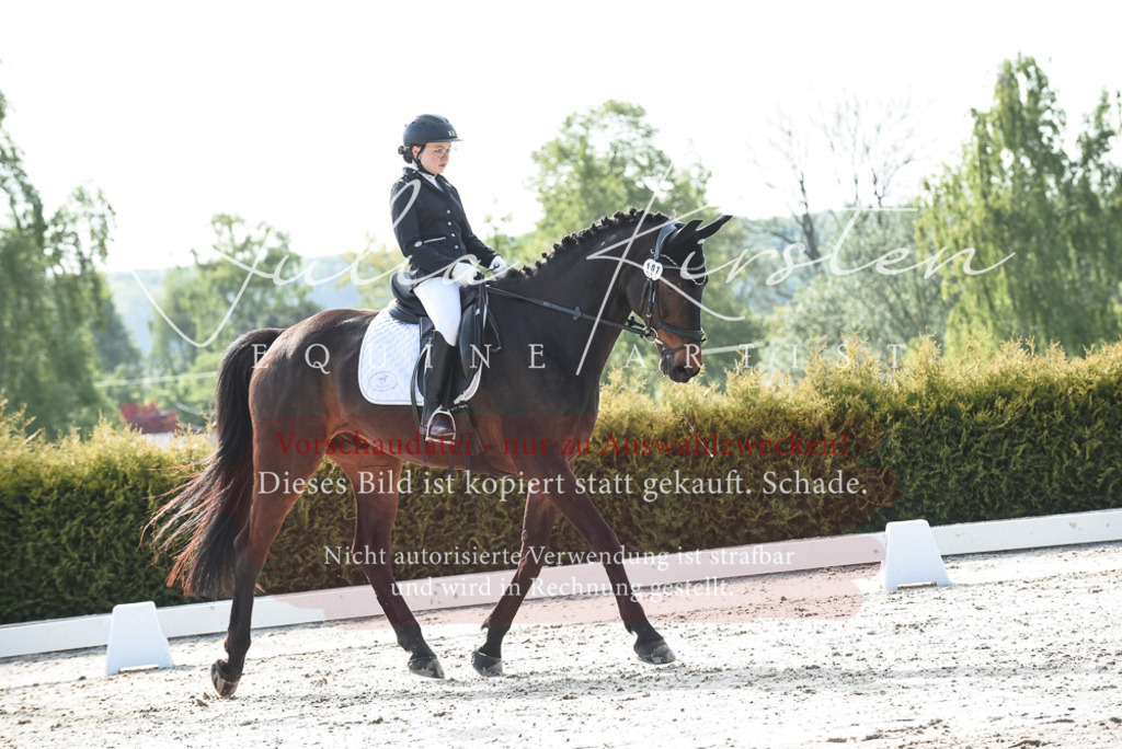 20230518_JK-Röhrsdorf-09-0968 | Pferde- und Turnierfotografie in Westsachsen. Pferdeportraits, Auftragszeichnungen und intuitive Kunst.