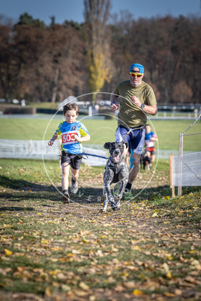 CaniXpix_DV3A7857 | Hundefotografie, Tierfotograf, Pfotenfotografie, Fotoshooting Hund, Hunde Portrait, Hundesport, Hundeportraits, Heideshooting, Hunde, Sportfotograf, Hundefotograf, Turnierhundsport, THS,  - Realisiert mit Pictrs.com