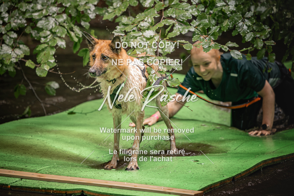 nelerasche_Wingst_Sa1330-1400_376 | nelerasche