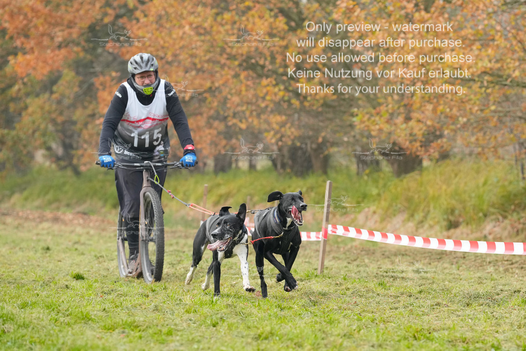 Visbeck_Sa_DS2DR2-122 | stephaniefillaphotographie - Realisiert mit Pictrs.com