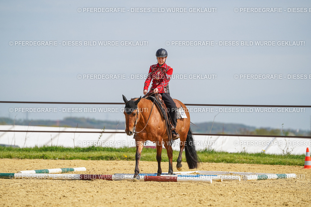 DSC04507 | Pferdegrafie