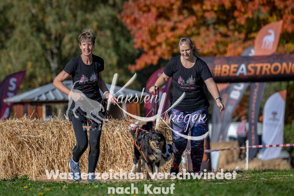 1054_ZZ92049 | kk-dogfotos