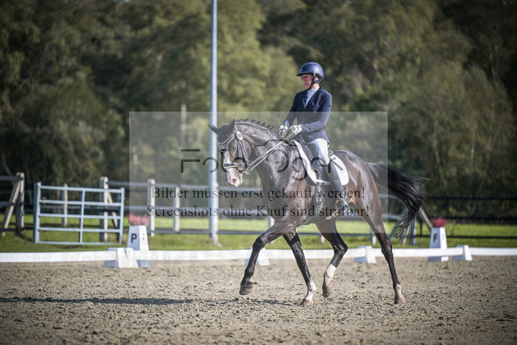 DOS_2384 | Entdecke hochwertige Reitturnierfotos von Foto Oger. Professionell, emotional und authentisch – jetzt Lieblingsmomente im Shop bestellen.Deutschlandweite Turnierfotografie. - Realisiert mit Pictrs.com