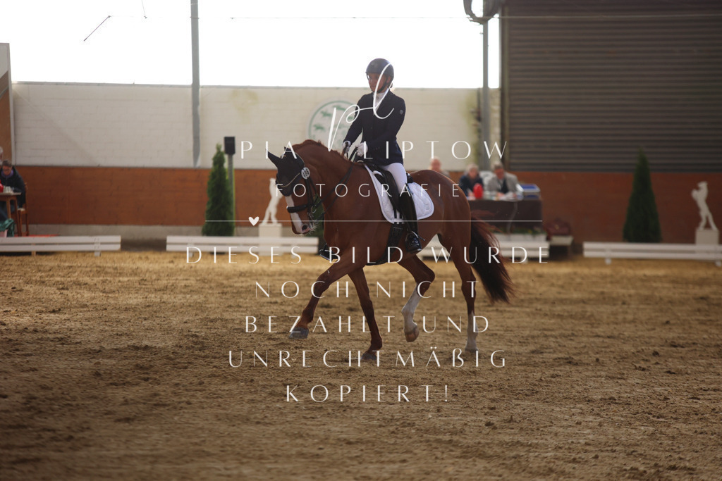 IMGT9729 | pl-fotografie