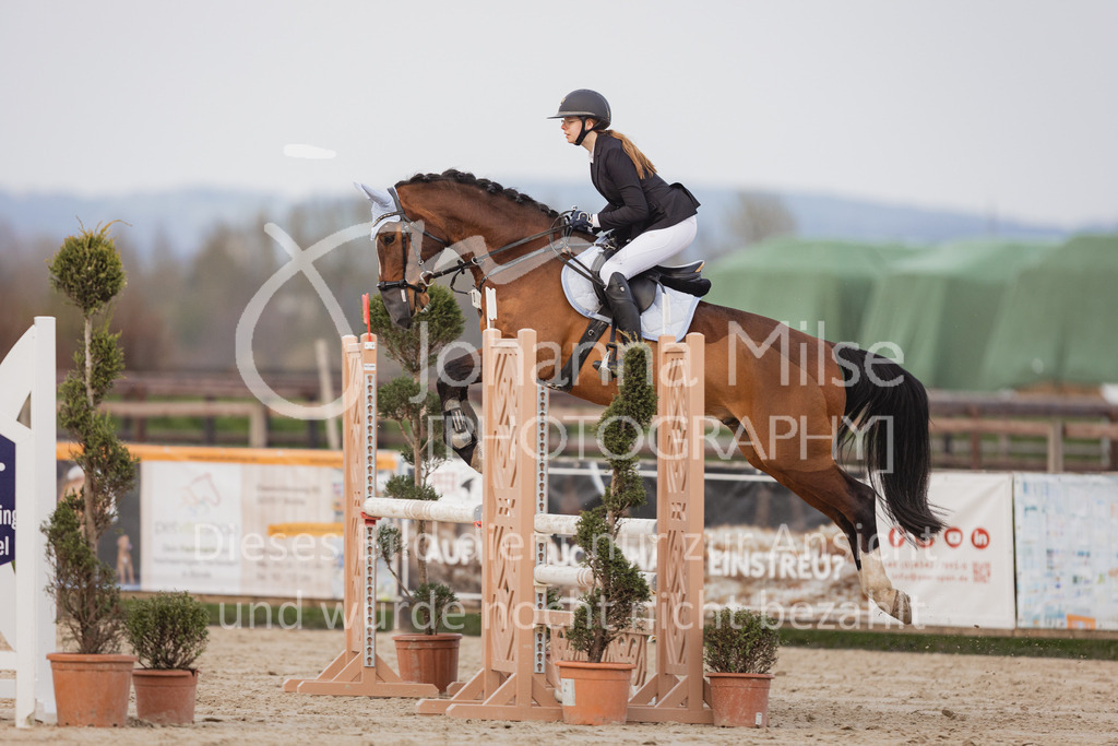 230406_Frühlingsfest_A-Stil2-227 | Deine schönsten Turniermomente als professionelle Fotos! Entdecke hochwertige Pferdesport-Fotografie im Online-Shop. Jetzt Fotos finden & bestellen!