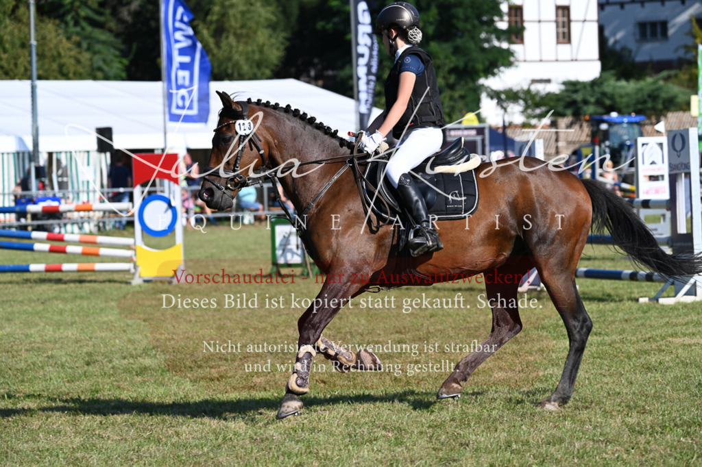 DSC_5227 | Pferde- und Turnierfotografie in Westsachsen. Pferdeportraits, Auftragszeichnungen und intuitive Kunst.