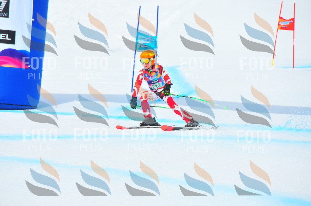 DSC_1947 | holidayphoto