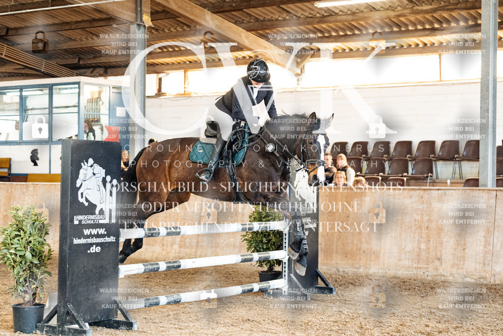 CK905343 | Turnierfotografie Pferdefotografie Trier Rheinland-Pfalz Pferdesport Reitsport Tierfotografie Sportfotografie Pferdevideo Pferdevideografie Equestrianvideography equestrianphotography  - Realisiert mit Pictrs.com