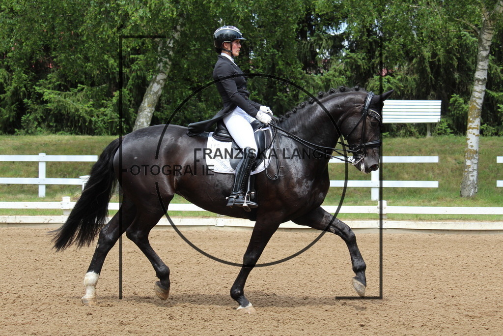 IMG_8066 | franziskalange - Realisiert mit Pictrs.com