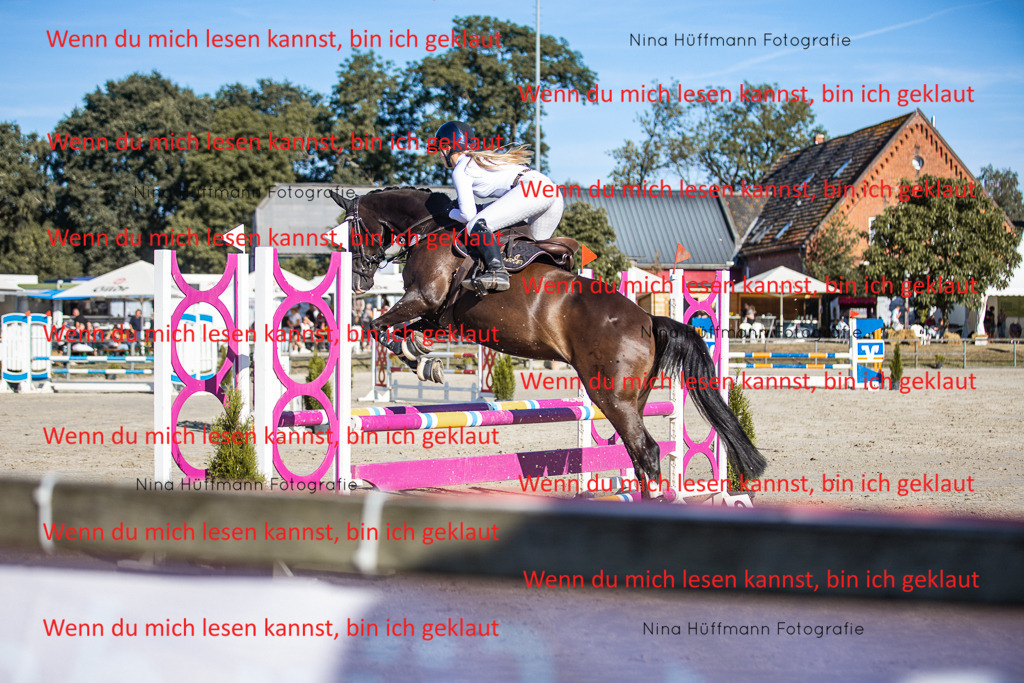 BK1A7588 | Turnierbilder Turnierfotos Nina Hüffmann Turnierfotografie Pferdefotografie Tierzeichnung Haustierzeichnung Pferdezeichnung Hundezeichnung Videograf  - Realisiert mit Pictrs.com