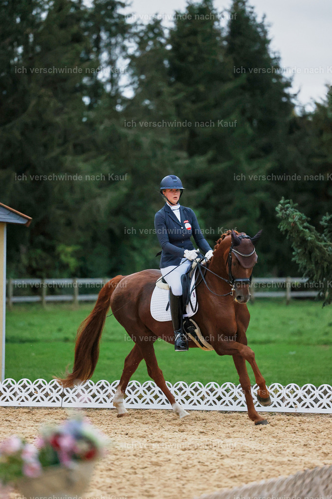 04_2-227-Dressur M__ -StoibPH-3009 | working equitationturnier fotograf videograf stoibphotography marixx film working equitation deutschland reitsport turnierfotografie eventfotografie equestrian events